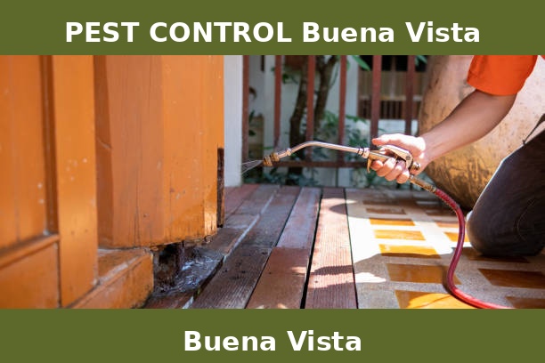 PEST CONTROL Buena Vista